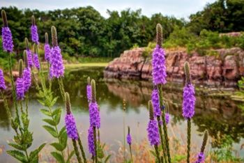 Jasper pool at Gitchie Manitou Preserve.