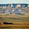 The west side of Slim Buttes bathed in the light of the evening sun. Click to enlarge photos.