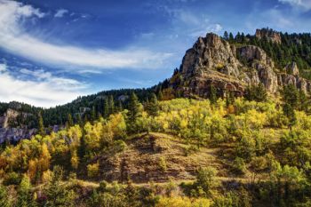 Late morning sun on Spearfish Canyon at Savoy, SD