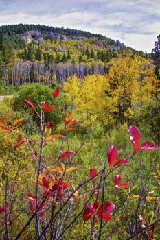 Near Vanocker Canyon Road