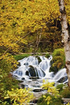 Lower Roughlock Falls