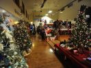 Several dozen trees decorated by businesses and organizations are the centerpieces of the holiday show.