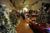 Several dozen trees decorated by businesses and organizations are the centerpieces of the holiday show.