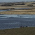 The hill country surrounding Cottonwood Slough in northeast South Dakota is sparsely populated.