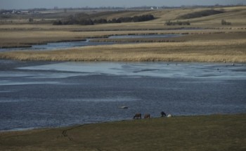 The hill country surrounding Cottonwood Slough in northeast South Dakota is sparsely populated.