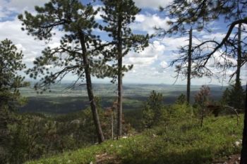 Protecting their sacred land is a never-ending struggle for the Lakota. Photo by Rebecca Johnson.