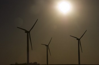 Turbines fill the horizon in Hyde County.