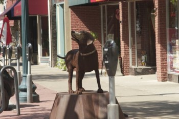 This dog greeted shoppers in downtown Sioux Falls as part of their <a href='http://www.sculpturewalksiouxfalls.com/ ' target='_blank'>SculptureWalk</a> one year.