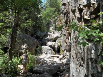 Once you get past the roadside foliage, you can see the gulch entrance.