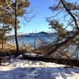 Farm Island Recreation Area is located on Lake Sharpe.