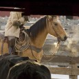 Friday cattle sales draw buyers and sellers from hundreds of miles in all directions.