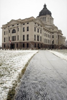 Sometimes you don’t even need obvious birds in your photo to illustrate their presence on the Capitol grounds.