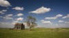 A Hereford bull guards entry to an abandoned farm house northwest of Mitchell.