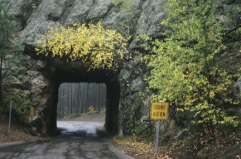 Through the tunnel a sign warns of curves, something this scenic drive has in spades. Photo by Rich Murphy.