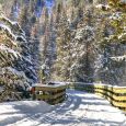 The trail contains more than 100 converted railroad bridges and 15 trailheads.