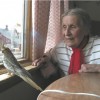 Katharina Redlin, pictured here with one of the cockatiels she raised and sold, found a peaceful life waiting for her in Summit.