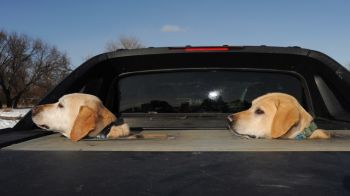 Copper and his son Gordy after a day of hunting.