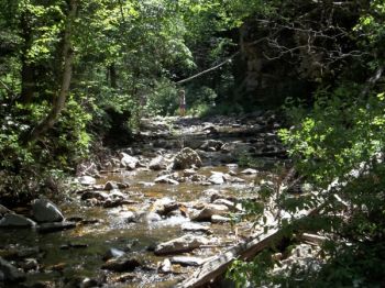 The creek bed trail.