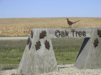 The Makens' family roots at Oak Tree Lodge date back to 1901.