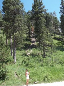 The washout across the road — go up here.