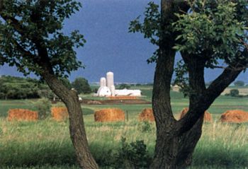 Hay bales add a new perspective to this Minnehaha County view. Photo by Marianne Larsen. 