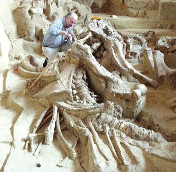 Dr. Larry Agenbroad painstakingly unearths a mammoth at the Mammoth Site on the edge of Hot Springs.