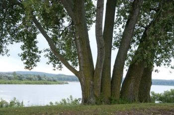 The proposed Niobrara Confluence and Ponca Bluffs Conservation Area is a voluntary program designed to protect the environment along the Missouri River between Pickstown and Sioux City. Photo by Bernie Hunhoff.