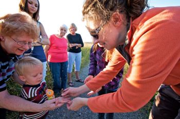 Jody Moats, a biologist with the Adams Nature Preserve near Elk Point, helps volunteers tag monarch butterflies every fall at Spirit Mound, just north of Vermillion.