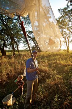 Volunteers throughout the Great Plains net monarchs and tag them as they head south, hoping scientists can glean information to help explain the butterflies' journey.