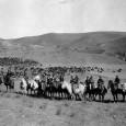 The ranch, situated 13 miles north of Bonesteel in Gregory County, was started in 1912 by three brothers from Iowa. Their father was the governor of Iowa and advised them in their business venture.