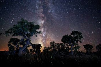 Halverson's favorite subject is the Milky Way, visible despite lights from Winner on the horizon.