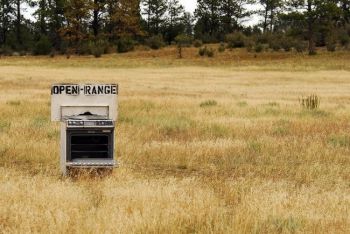 The open range, located west of Custer. Photo by <a href='http://www.dakotagraph.com/search/label/folk%20art' target='_blank'>Chad Coppess</a>.