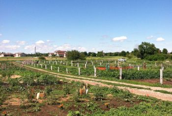 Healthy Yankton Community Garden at the beginning of the season.