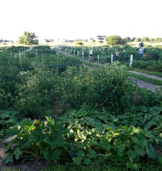 Healthy Yankton Community Garden now.