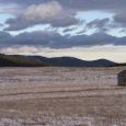 The proposed purchase of Reynold s Prairie by the Great Sioux Nation offers an opportunity for further white-Native reconciliation. Photo by Bernie Hunhoff.