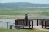 A visitor studies the river valley from an overlook in downtown Springfield.