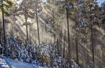 Fresh snow, bright sun and a bit of wind combined make really interesting shots.