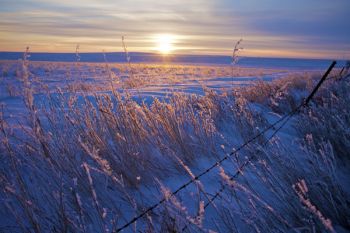 My vehicle’s thermometer read –17 when I got out to take this sunset photo along the Sansarc road in Stanley County.