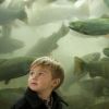 Youngsters get their first close-up look at river trout when they descend the stairway at the hatchery.