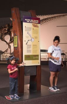 Interactive pod 2, “Maybe Sue Played the Accordion?” © The Field Museum