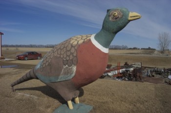Bill Walters crafted the Tinkertown pheasant, easily our state's heaviest bird, out of concrete in the 1950s.