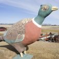 The Tinkertown Pheasant is the state’s biggest concrete bird. It was built in 1950 along Highway 212.