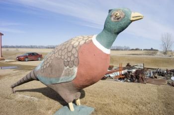 The Tinkertown Pheasant is the state’s biggest concrete bird. It was built in 1950 along Highway 212.