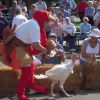 Huron s turkey handlers are not allowed to touch their racing turkeys, but may coax them to victory using other methods.