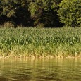 South Dakota s river valley cities received much of the attention during the summer-long Missouri River flood, but rural farm neighborhoods have also been impacted. Many farmers  crops were planted and growing before the river rose and swallowed them.