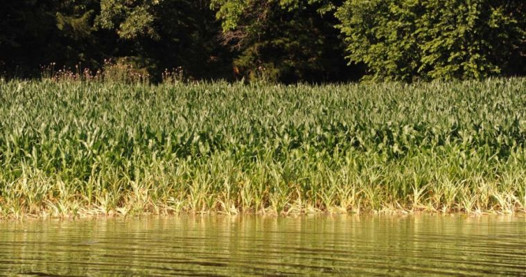 South Dakota s river valley cities received much of the attention during the summer-long Missouri River flood, but rural farm neighborhoods have also been impacted. Many farmers  crops were planted and growing before the river rose and swallowed them.