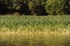 South Dakota s river valley cities received much of the attention during the summer-long Missouri River flood, but rural farm neighborhoods have also been impacted. Many farmers  crops were planted and growing before the river rose and swallowed them.