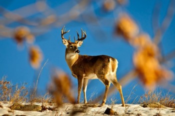 Photo by Chad Coppess of S.D. Tourism.