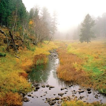 French Creek gently flows through the park.