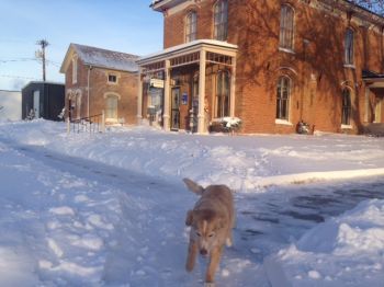 Even our office dog, Yeller, is ready for Spring.
